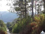 Terreno / Lote para Venda em Mairiporã/SP Santa Inês