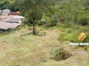 Terreno / Lote para Venda em Mairiporã/SP Terra Preta