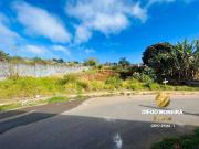 Terreno / Lote para Venda em Mairiporã/SP Terra Preta