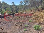 Terreno / Lote para Venda em Mairiporã/SP Terra Preta