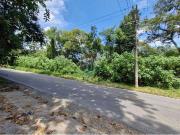 Terreno / Lote para Venda em Mairiporã/SP Terra Preta