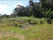 Terreno / Lote para Venda em Manaus/AM Área Rural de Manaus