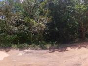 Terreno / Lote para Venda em Manaus/AM Área Rural de Manaus
