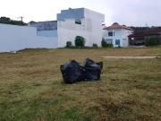 Terreno / Lote para Venda em Manaus/AM Colônia Terra Nova