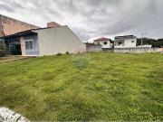 Terreno / Lote para Venda em Manaus/AM Colônia Terra Nova