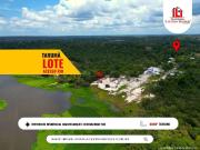Terreno / Lote para Venda em Manaus/AM Colônia Terra Nova
