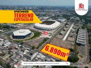 Terreno / Lote para Venda em Manaus/AM Flores