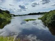 Terreno / Lote para Venda em Manaus/AM Ponta Negra 1 Quartos