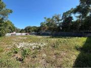 Terreno / Lote para Venda em Manaus/AM Ponta Negra