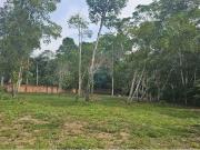 Terreno / Lote para Venda em Manaus/AM Tarumã