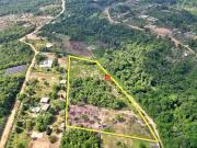 Terreno / Lote para Venda em Manaus/AM Tarumã Açu