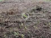 Terreno / Lote para Venda em Manaus/AM Tarumã Açu Terreno / Lote para Venda em Manaus/AM Tarumã Açu