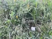 Terreno / Lote para Venda em Maricá/RJ Caxito