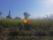 Terreno / Lote para Venda em Maricá/RJ Centro