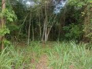 Terreno / Lote para Venda em Maricá/RJ Pindobas