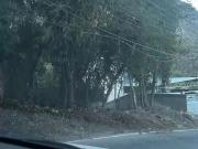 Terreno / Lote para Venda em Maricá/RJ Recanto de Itaipuaçu