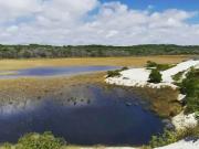 Terreno / Lote para Venda em Mata de São João/BA Imbassai