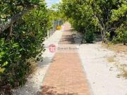 Terreno / Lote para Venda em Mata de São João/BA Praia...