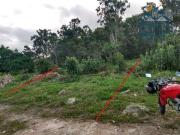 Terreno / Lote para Venda em Matinhos/PR Curraes