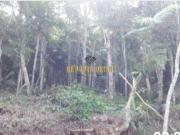 Terreno / Lote para Venda em Mauá/SP Jardim Santa Lídia