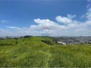 Terreno / Lote para Venda em Mauá/SP Jardim Zaira