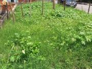 Terreno / Lote para Venda em Mauá/SP Parque das Américas