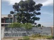 Terreno / Lote para Venda em Mauá/SP Vila Bocaina