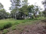 Terreno / Lote para Venda em Mogi das Cruzes/SP Parque...