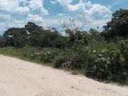 Terreno / Lote para Venda em Mongaguá/SP Agenor de Campos