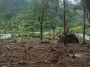 Terreno / Lote para Venda em Mongaguá/SP Conjunto...