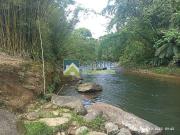 Terreno / Lote para Venda em Morretes/PR Anhaia