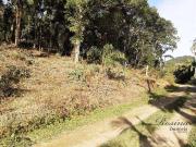 Terreno / Lote para Venda em Morretes/PR Anhaia