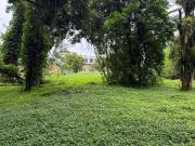 Terreno / Lote para Venda em Morretes/PR Centro