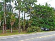 Terreno / Lote para Venda em Morretes/PR Passa Sete