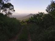 Terreno / Lote para Venda em Morretes/PR Rio Sagrado