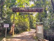 Terreno / Lote para Venda em Morretes/PR Rio Sagrado