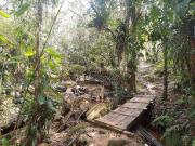 Terreno / Lote para Venda em Morretes/PR Rio Sagrado