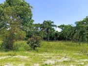 Terreno / Lote para Venda em Morretes/PR Sambaqui