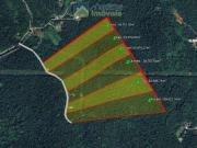 Terreno / Lote para Venda em Morretes/PR Zona Rural