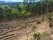 Terreno / Lote para Venda em Nazaré Paulista/SP Centro