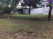 Terreno / Lote para Venda em Nazaré Paulista/SP Vicente...