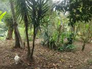 Terreno / Lote para Venda em Niterói/RJ Badu