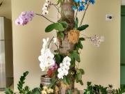 Casa / Sobrado para Venda em Niterói/RJ Camboinhas 5 Quartos