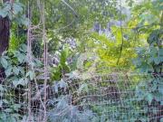 Terreno / Lote para Venda em Niterói/RJ Engenho do Mato