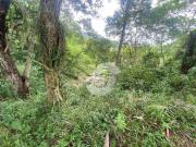 Terreno / Lote para Venda em Niterói/RJ Engenho do Mato