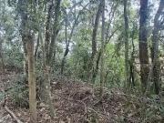 Terreno / Lote para Venda em Niterói/RJ Engenho do Mato