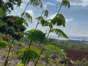 Terreno / Lote para Venda em Niterói/RJ Itacoatiara