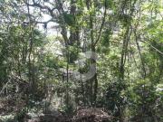 Terreno / Lote para Venda em Niterói/RJ Itaipu