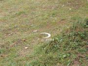 Terreno / Lote para Venda em Niterói/RJ Largo da Batalha