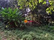 Terreno / Lote para Venda em Niterói/RJ Rio do Ouro